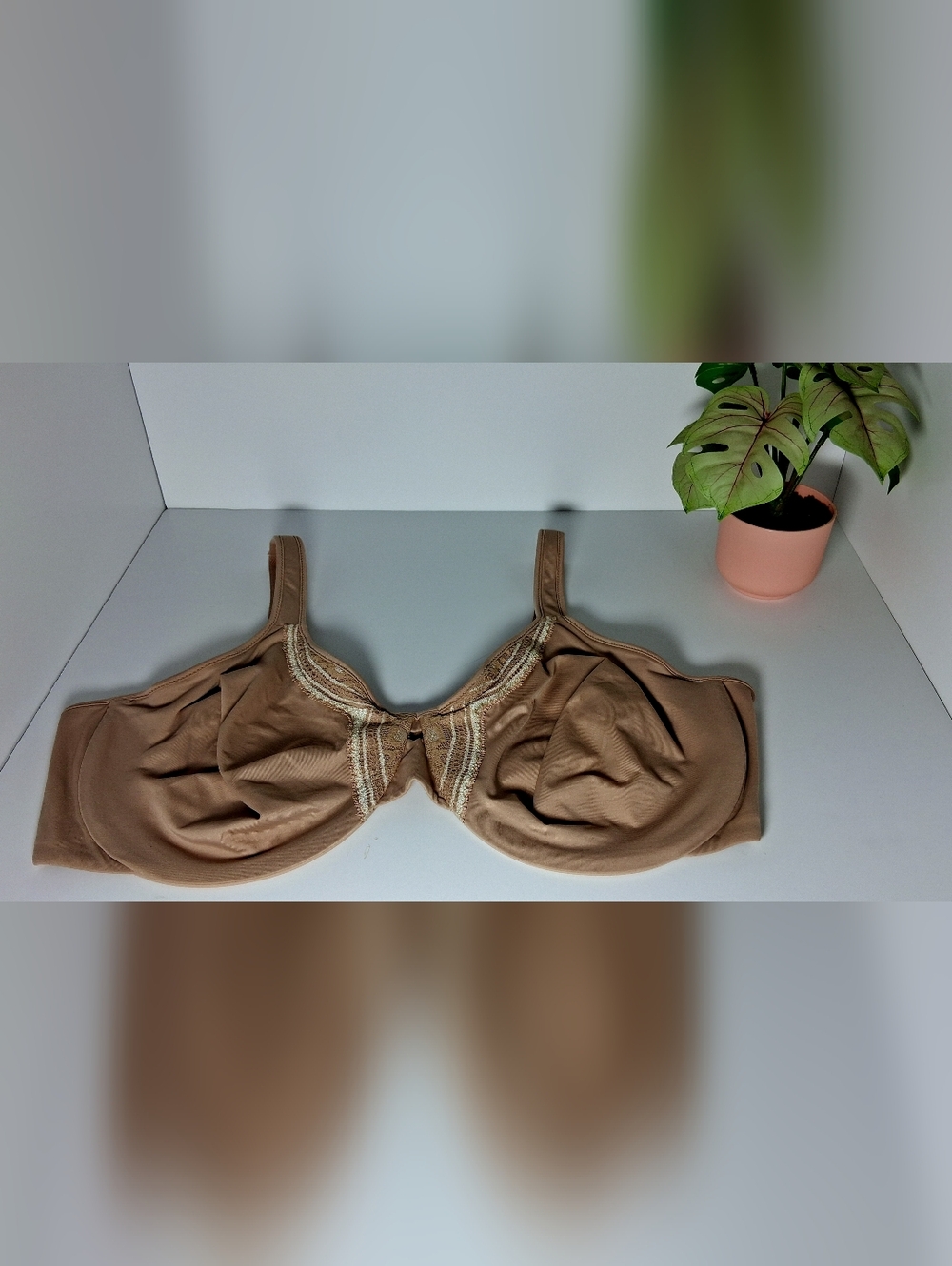 Olga Brown Underwire Full Coverage Bra with Cream Lace Accents Size 44D